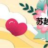蘇越（關于蘇越的簡介）