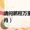 請問鵬程萬里是什么生肖（鵬程萬里是什么生肖）
