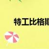 特工比格斯（關于特工比格斯的簡介）