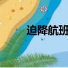 迫降航班 （關于迫降航班 的簡介）