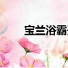 寶蘭浴霸開關接線圖解（寶蘭浴霸）