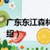 廣東東江森林公園（關于廣東東江森林公園介紹）