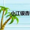 小江銀杏園（關于小江銀杏園簡介）