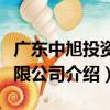 廣東中旭投資有限公司（關于廣東中旭投資有限公司介紹）