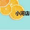 小河店村（關于小河店村簡介）