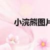 小浣熊圖片（關于小浣熊圖片的簡介）