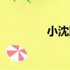 小沈郢（關于小沈郢簡介）