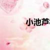 小池蘆村（關于小池蘆村簡介）
