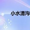 小水清溝村（關于小水清溝村簡介）