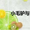 小毛驢與我（關于小毛驢與我簡介）
