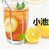 小池站（關于小池站簡介）
