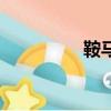 鞍馬（關于鞍馬的簡介）