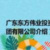廣東東方偉業投資集團有限公司（關于廣東東方偉業投資集團有限公司介紹）