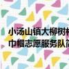 小湯山鎮大柳樹村巾幗志愿服務隊（關于小湯山鎮大柳樹村巾幗志愿服務隊簡介）
