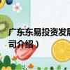 廣東東易投資發展有限公司（關于廣東東易投資發展有限公司介紹）