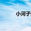 小河子站（關于小河子站簡介）