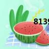 8139是什么意思(8139)