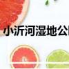 小沂河濕地公園（關于小沂河濕地公園簡介）