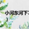 小河東河下79號（關于小河東河下79號簡介）