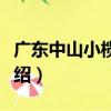 廣東中山小欖荼薇（關于廣東中山小欖荼薇介紹）