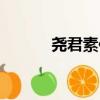堯君素傳（關于堯君素傳簡介）