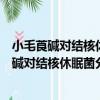小毛莨堿對結核休眠菌分了生物學特性的作用（關于小毛莨堿對結核休眠菌分了生物學特性的作用簡介）