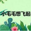 小毛毛想飛起來（關于小毛毛想飛起來簡介）
