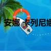 安娜 卡列尼娜（關于安娜 卡列尼娜的簡介）
