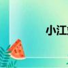 小江站（關于小江站簡介）