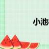 小池村（關于小池村簡介）