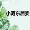 小河東居委會（關于小河東居委會簡介）