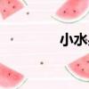 小水果（關于小水果簡介）