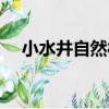 小水井自然村（關于小水井自然村簡介）