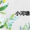 小河塘村（關于小河塘村簡介）