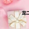 龍二（關于龍二的簡介）