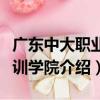 廣東中大職業培訓學院（關于廣東中大職業培訓學院介紹）