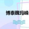 博泰魏瑪峰尚二期房價（博泰魏瑪峰尚）