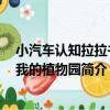 小汽車認知拉拉書：我的植物園（關于小汽車認知拉拉書：我的植物園簡介）