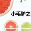小毛驢之歌（關于小毛驢之歌簡介）