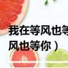 我在等風也等你等你說句我愿意歌詞（我在等風也等你）