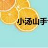 小湯山手記（關于小湯山手記簡介）
