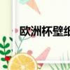 歐洲杯壁紙（關于歐洲杯壁紙的簡介）
