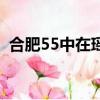 合肥55中在瑤海怎么樣（合肥55中怎么樣）