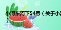小河東河下54號(關于小河東河下54號簡介)