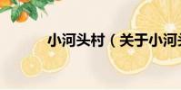 小河頭村(關于小河頭村簡介)