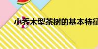 小喬木型茶樹的基本特征是(小喬木)