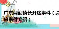 廣東兩副鎮長開房事件(關于廣東兩副鎮長開房事件介紹)