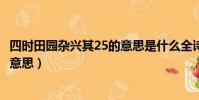 四時田園雜興其25的意思是什么全詩(四時田園雜興其25的意思)