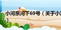 小河東河下69號(關于小河東河下69號簡介)