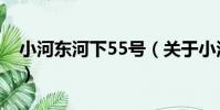 小河東河下55號(關于小河東河下55號簡介)